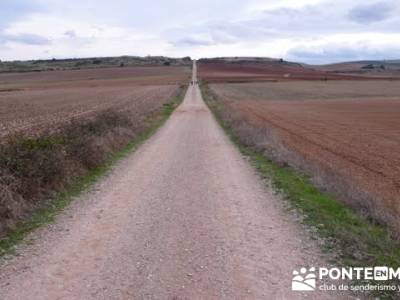 Enología en Rioja - Senderismo Camino de Santiago; grupo senderismo murcia